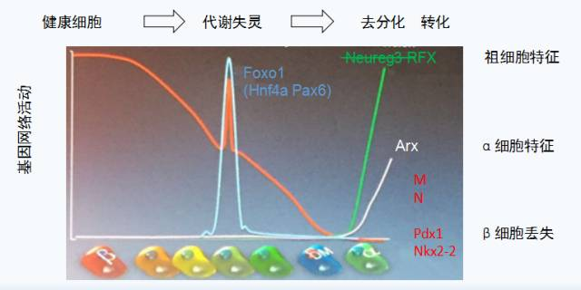 &#20061;&#28216;&#23448;&#26041;&#32593;&#39029;&#29256;&#45;&#20061;&#28216;&#40;&#20013;&#22269;&#41;